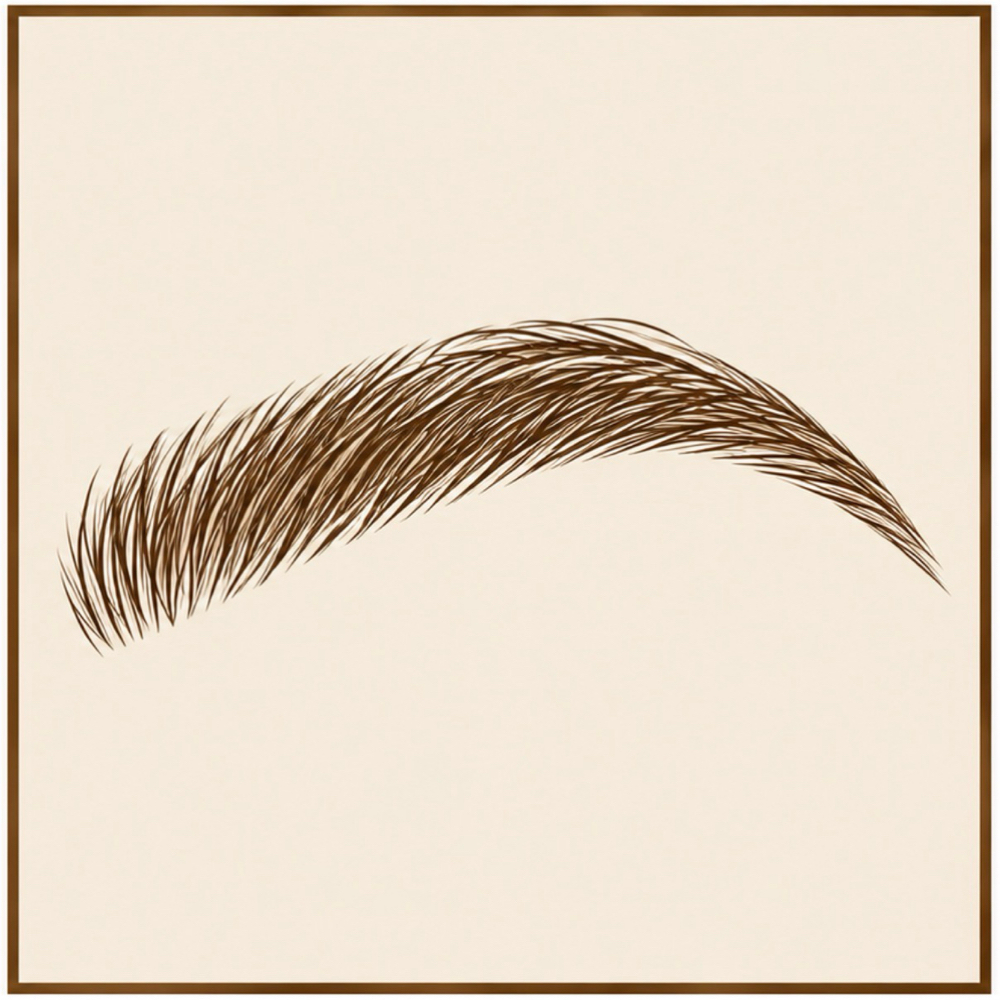 Brow Lamination (Intro Offer) at SIX20FIVE in Wheat Ridge, CO