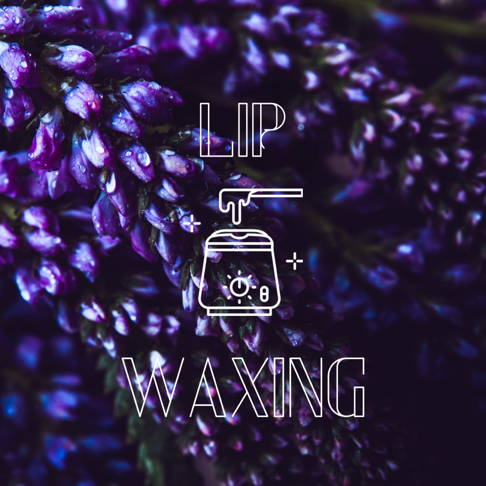 Upper Lip Wax