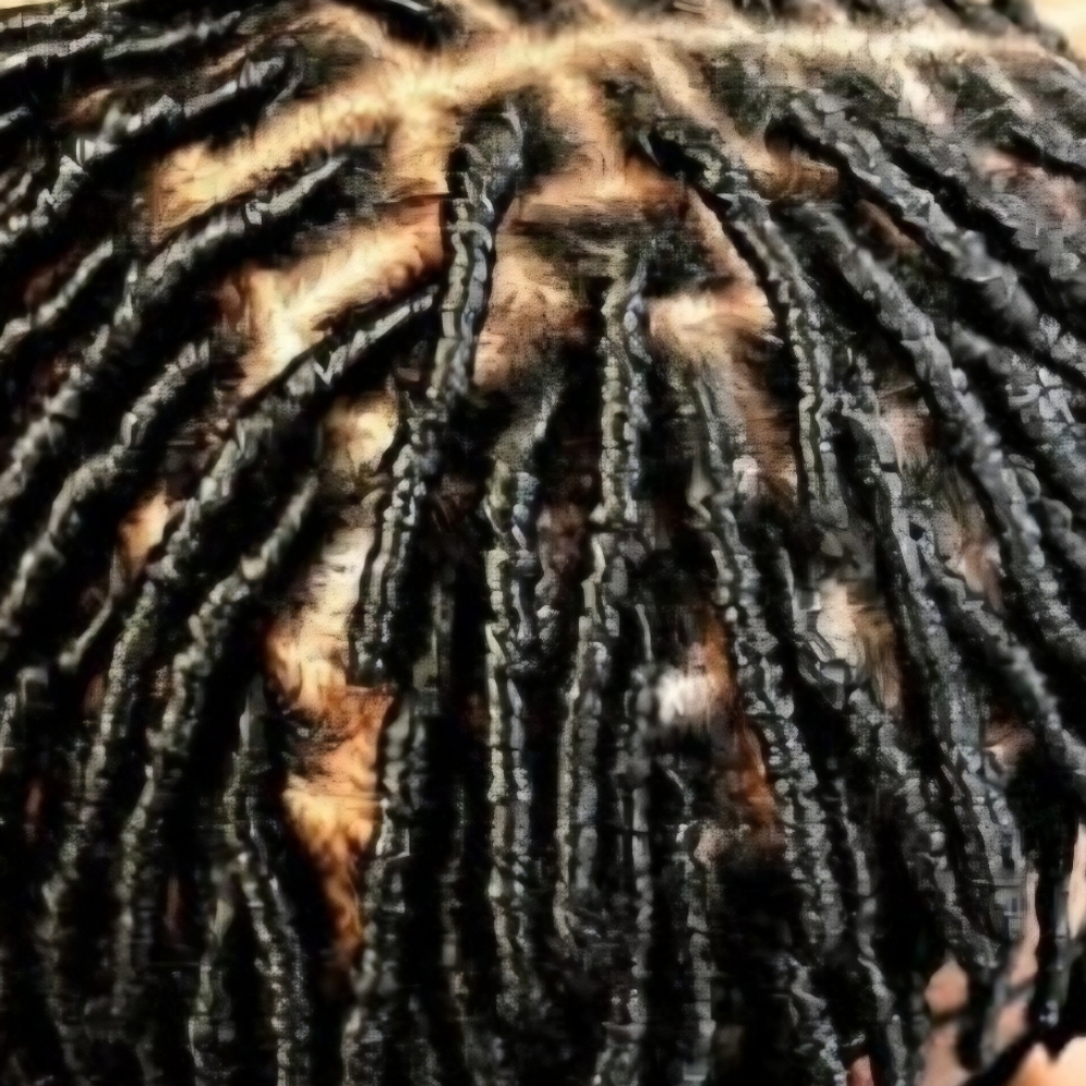 Starter Locs at Locs, Braids & Twists in Laurel, DE
