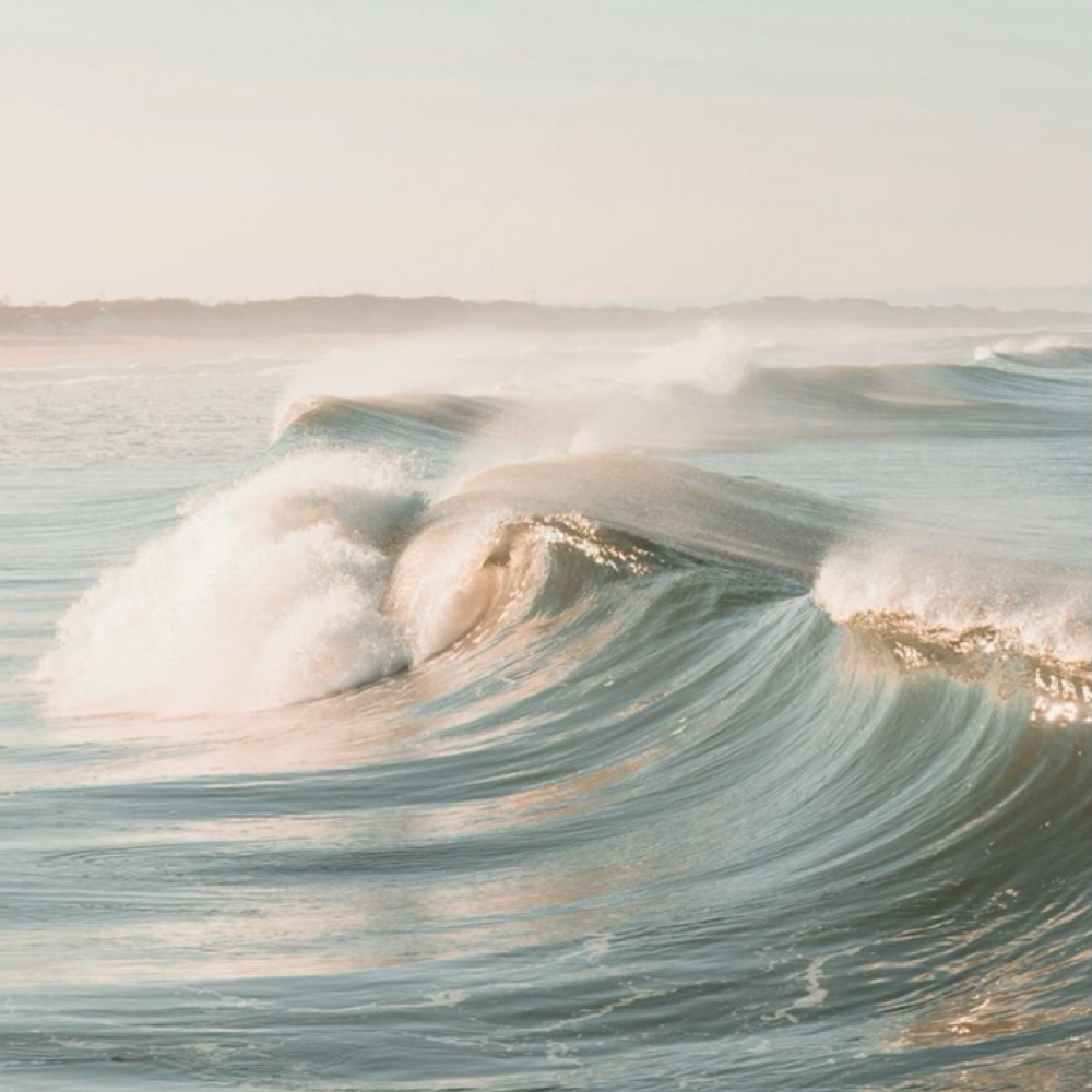 Women's Haircut at Mane Evolution Hair in South Pasadena, FL