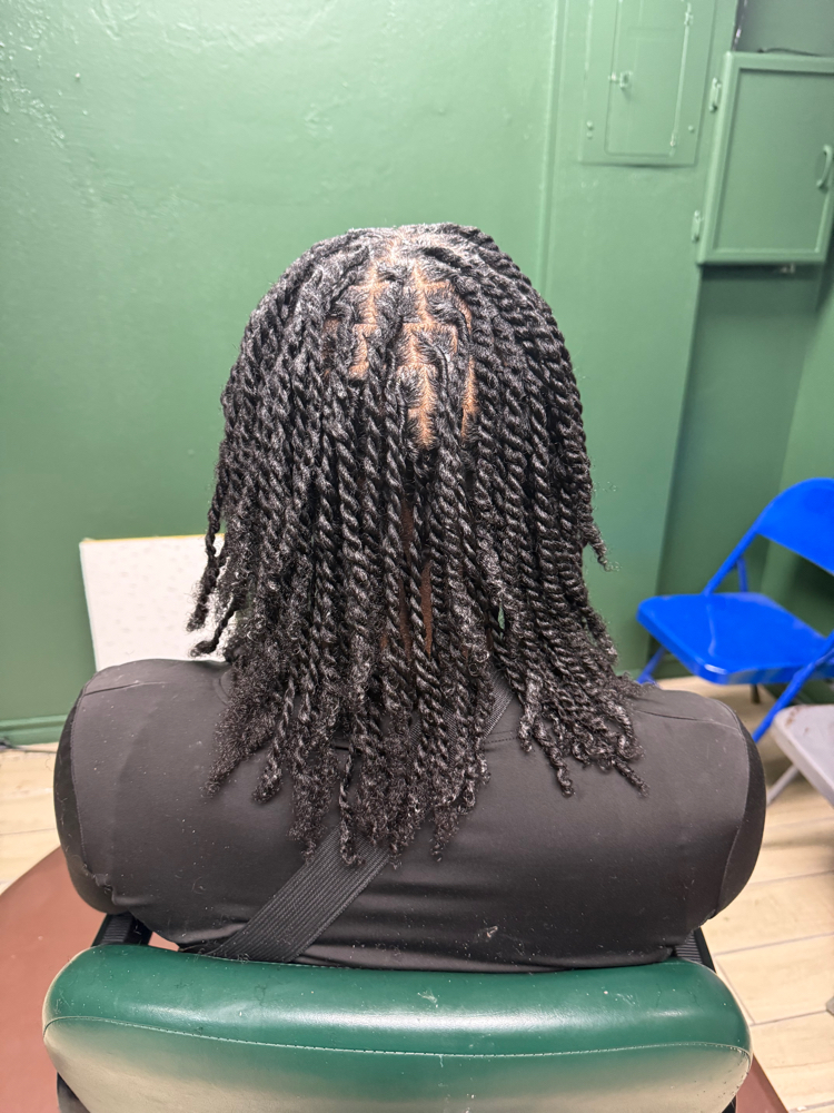 Starter Locs
