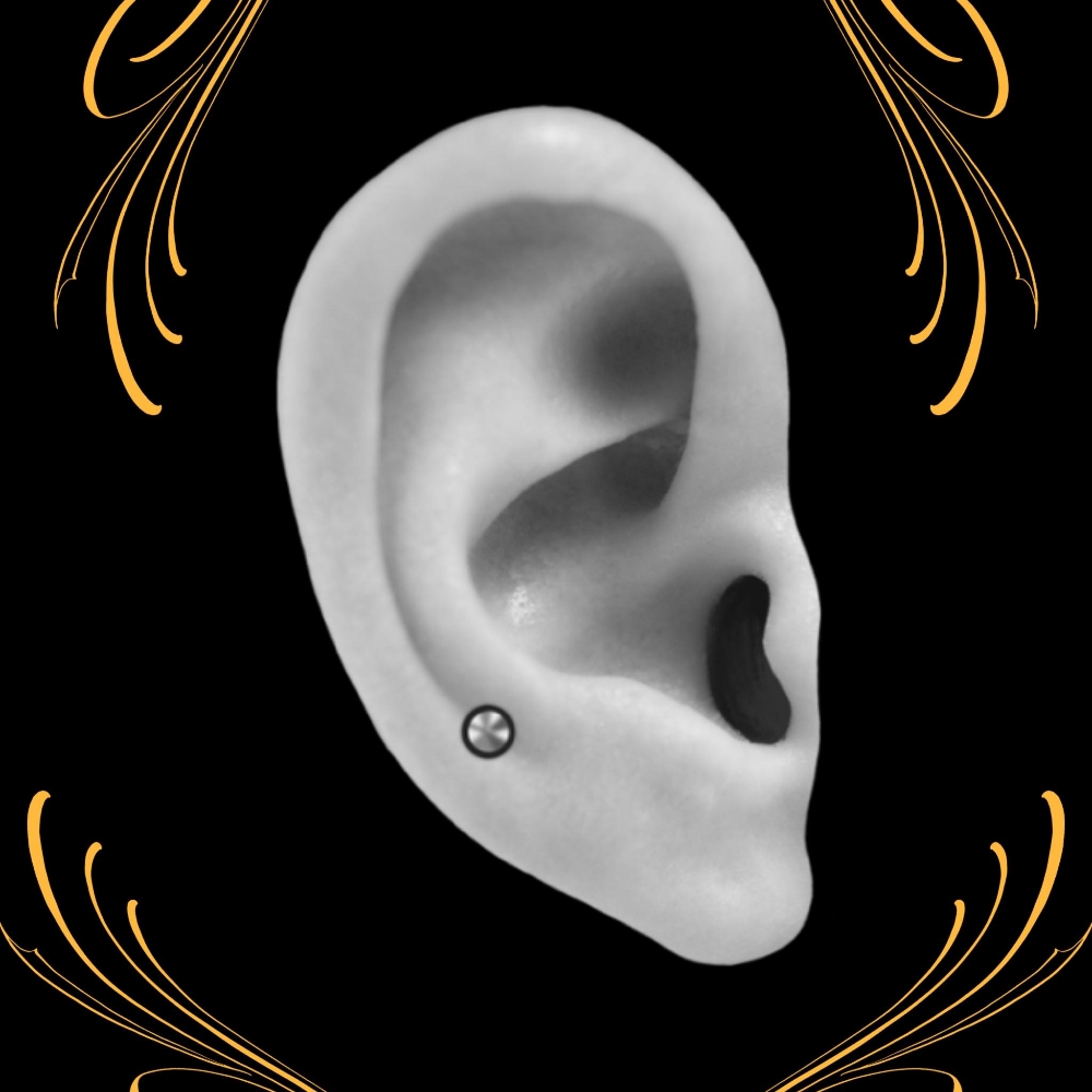 Auricle