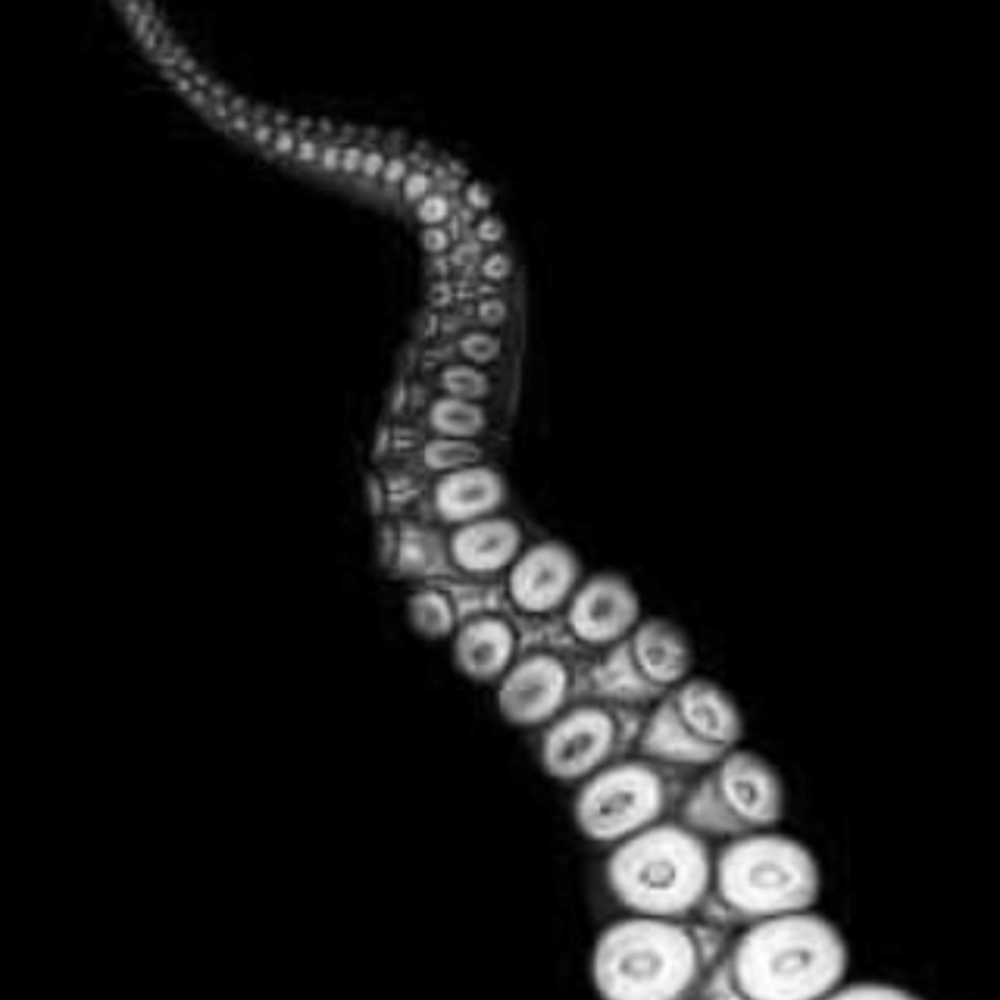 Intuitive Energy body 90 m. at Screaming Octopus in East Wenatchee, WA