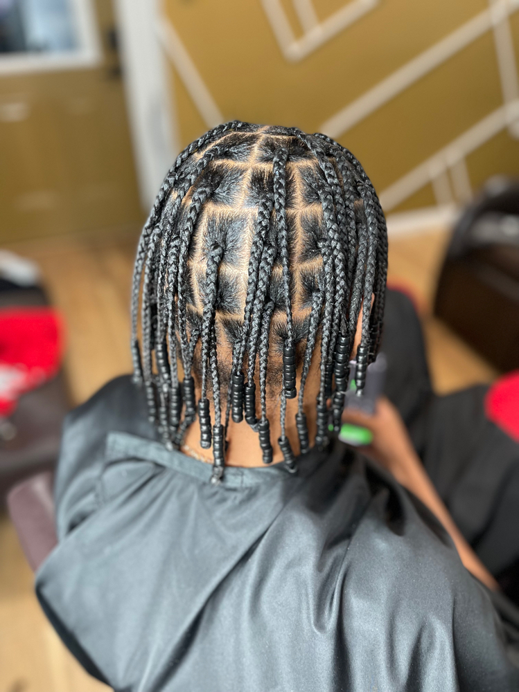 Plaits/2 Strand Twists