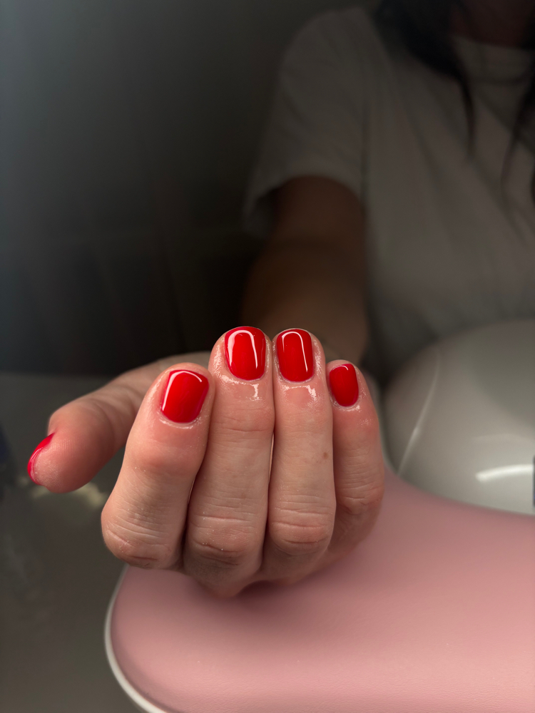 Builder gel Overlay at Pink Parrot Beauty LLC in Menomonee Falls, WI