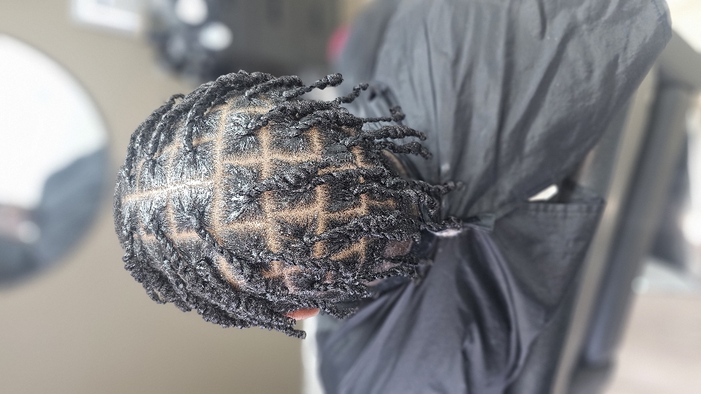 Two Strand Twist