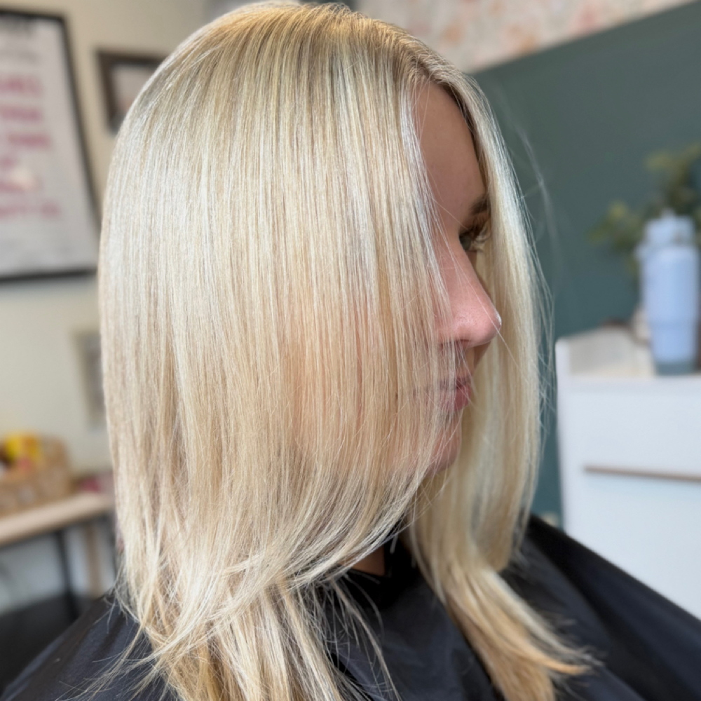 THE FULL at Laney Beauty Co. in Salem, NH