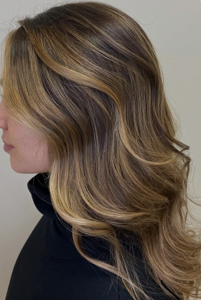 🌗Partial - Blonding Session