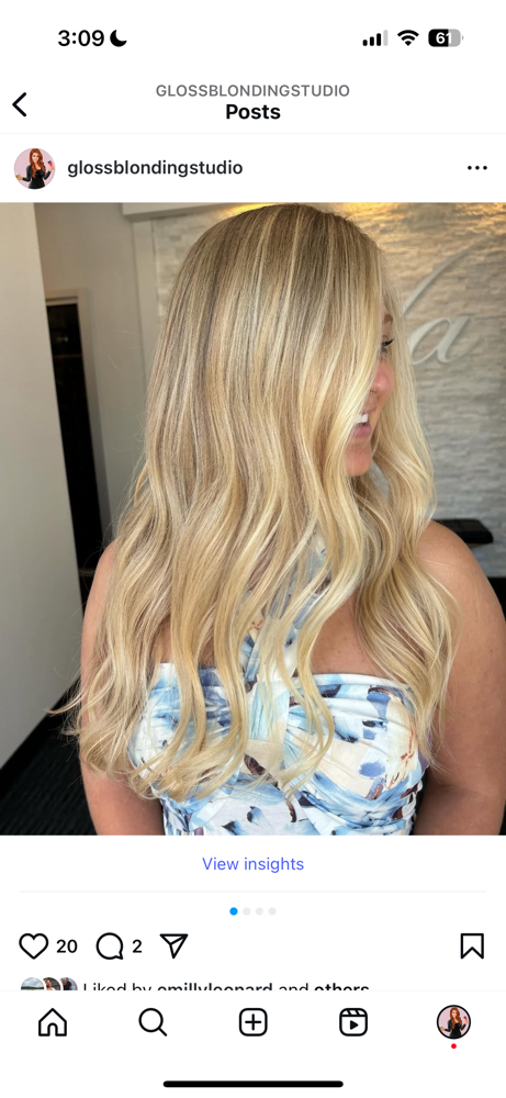Balayage Bundle