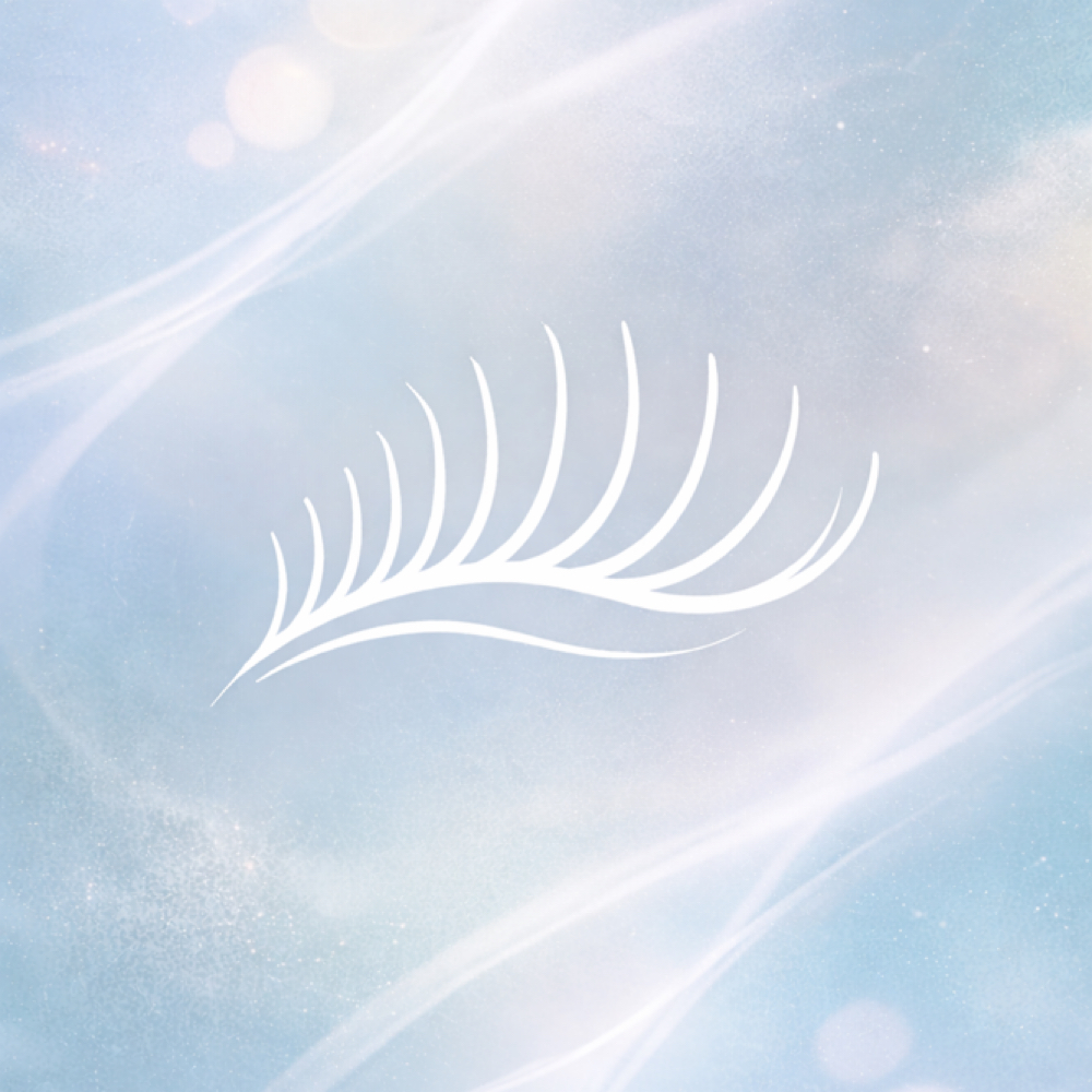 Lash Lift/tint at Kim’s Aesthetic Studio in Snohomish, WA