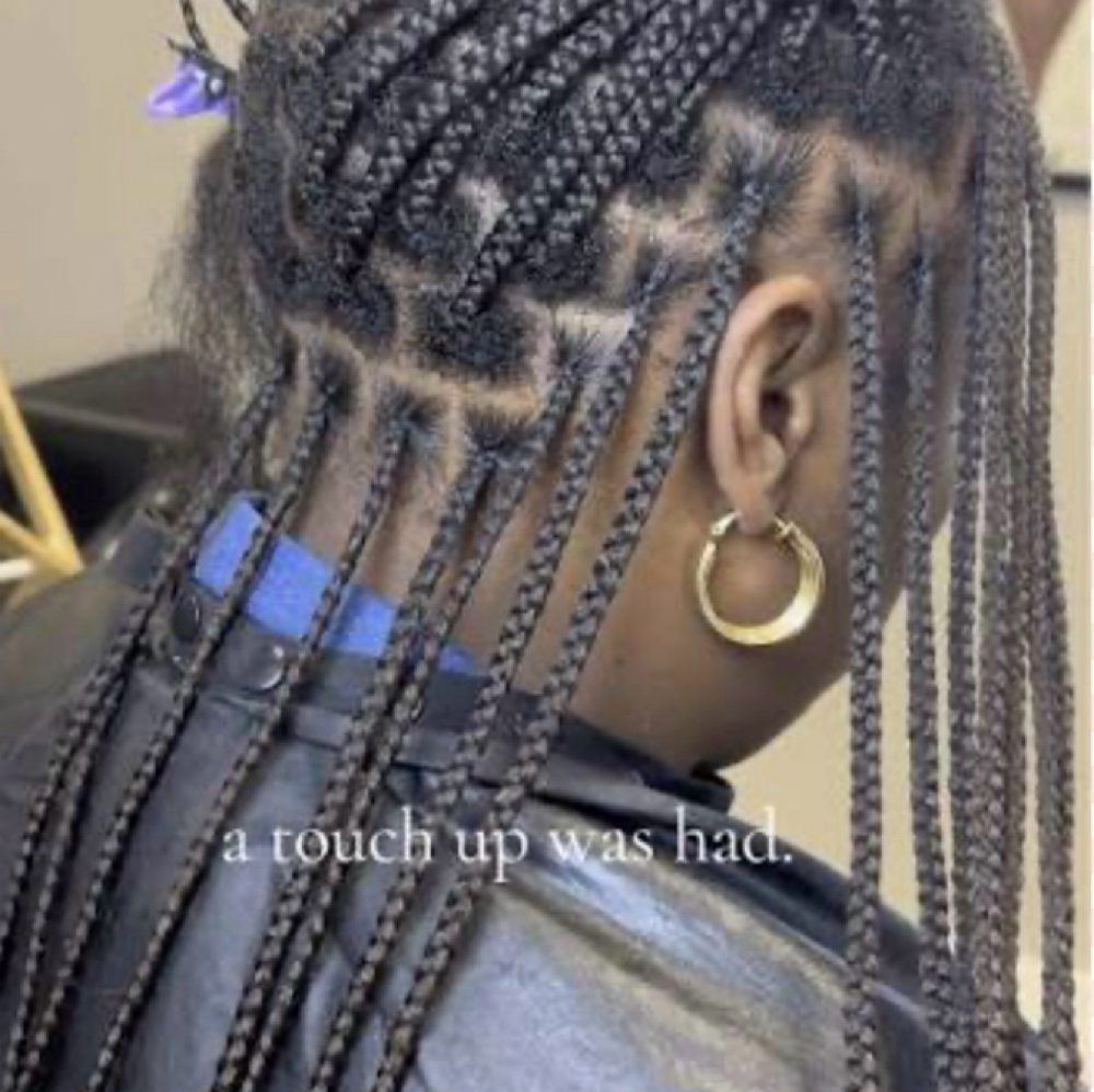Box Braids Touch Up at Skinsational Beauty Boutique in Bethany, OK