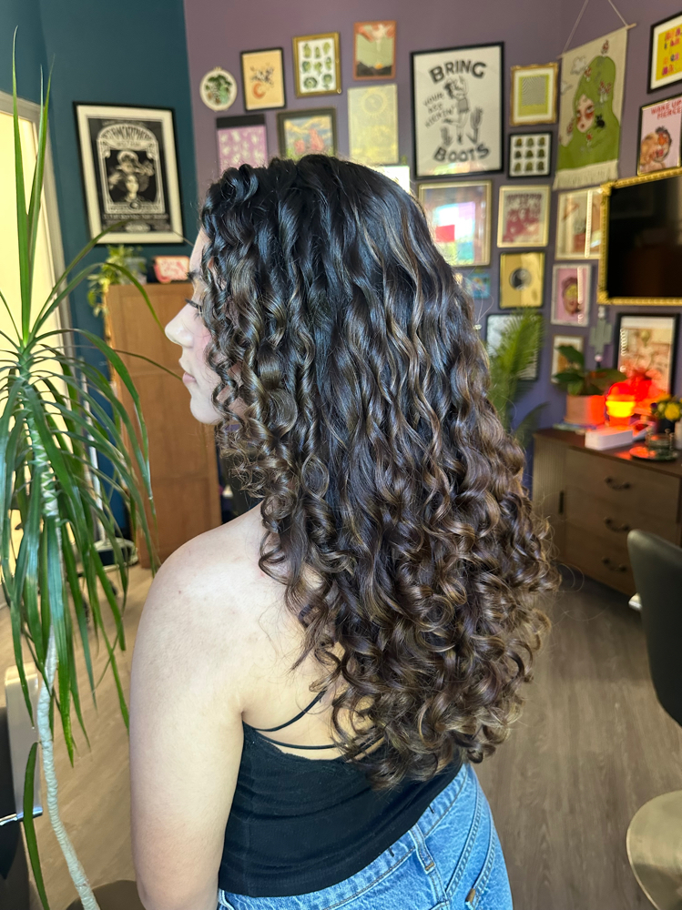 LA New Client Curly Cut at Prism & Pattern (KPerryHair) in San Antonio, TX