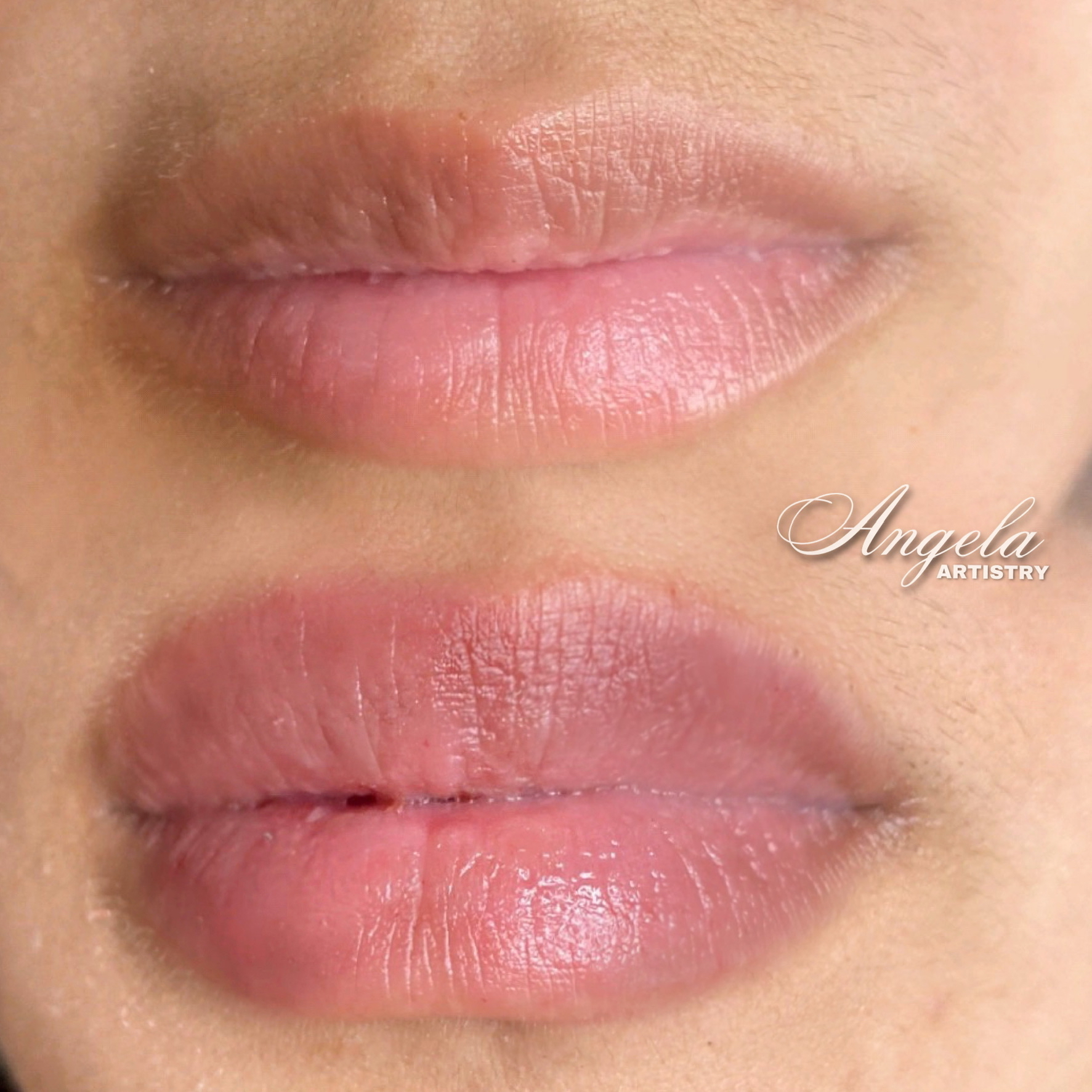 Needleless Lip Filler Class at Angela Artistry in Plant City, FL