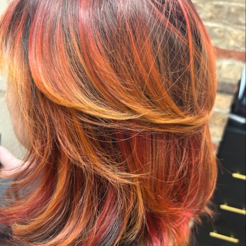 Vivid Color at Beauty Realized in Holland, MI