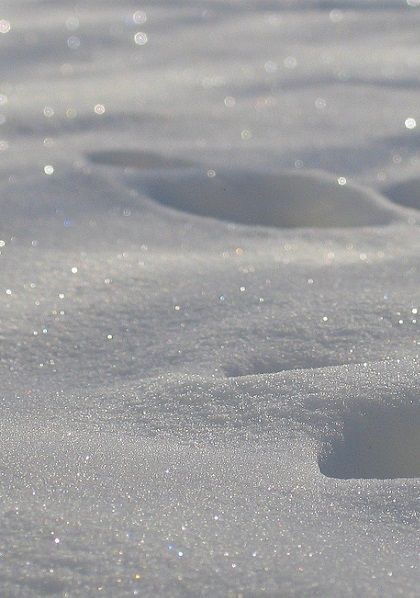 Beat The Winter Scaries (Package)