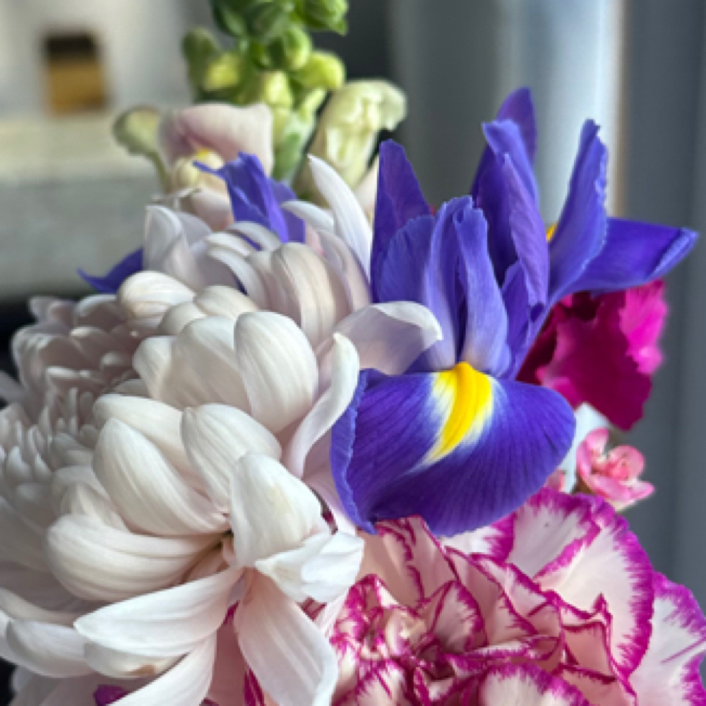 Spring Rejuvenation Package at Victoria Silvia Hair in Canton, CT