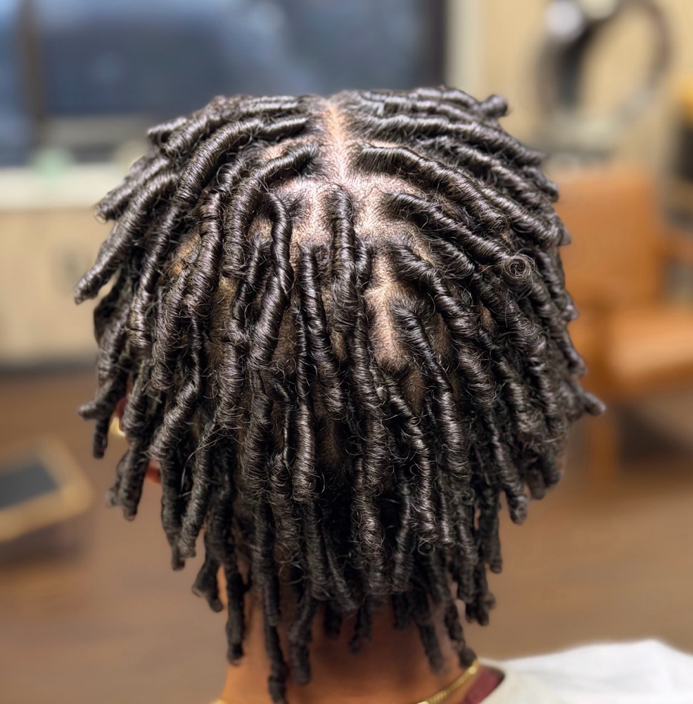 Starter Locs Consultation
