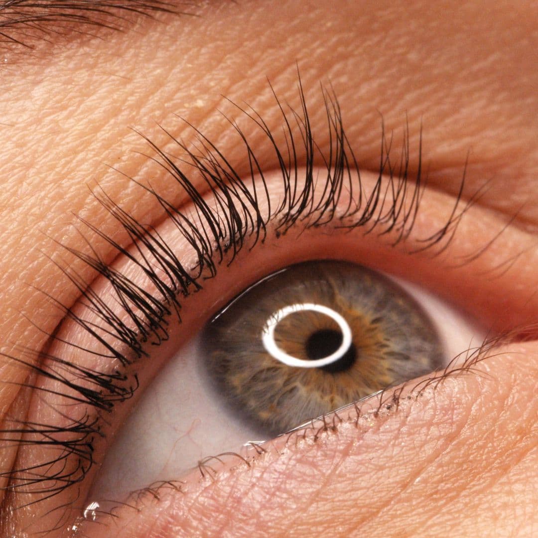 Lash Lift & Tint