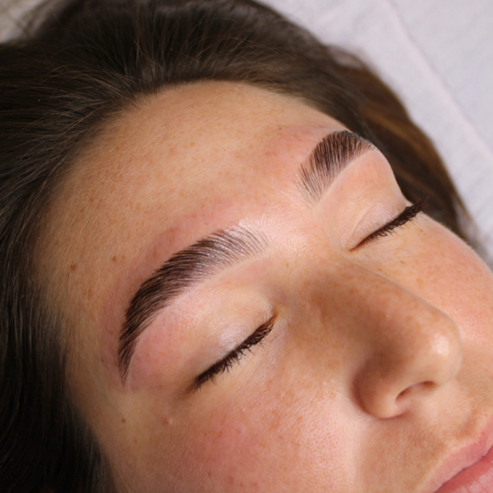 Hollywood Brows at Haus of Glow Aesthetics in Thibodaux, LA