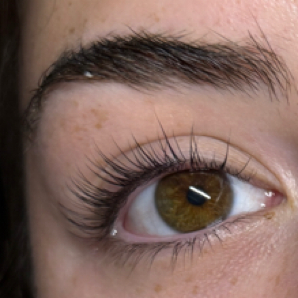 Lash lift & Tint W/ Brow Tint & Wax at Palm Beach Wax Studio & Skincare in Palm Beach Gardens, FL