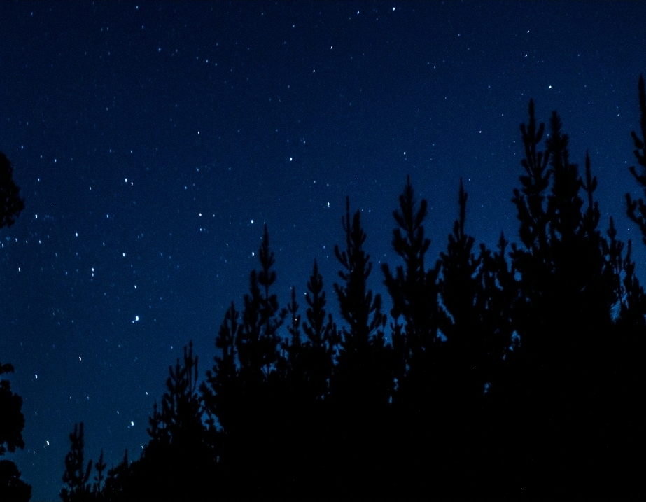 Redken ABC Treatment