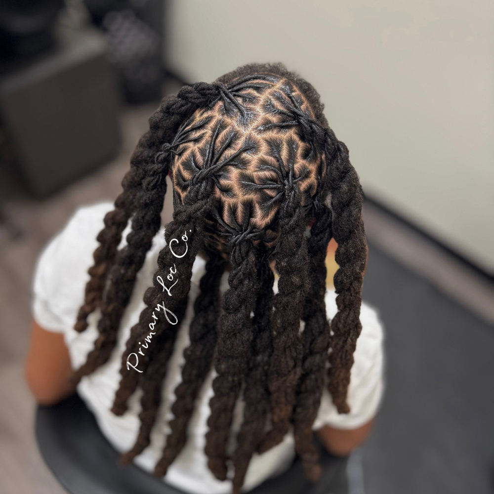 Loc Two Strands/ Ropes /Plaits