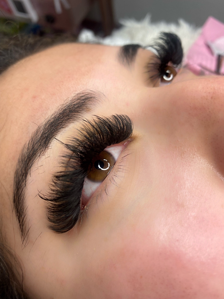 Mega Volume Lash Extensions