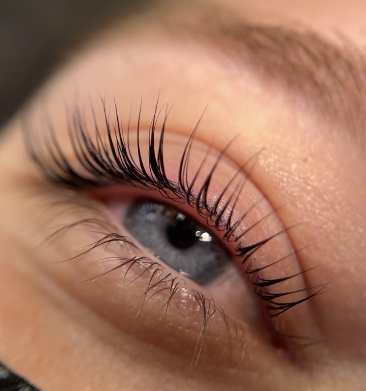 Keratin lash lift + tint