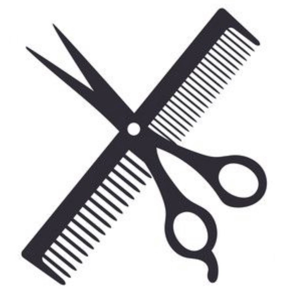 Dry Haircut & Style
