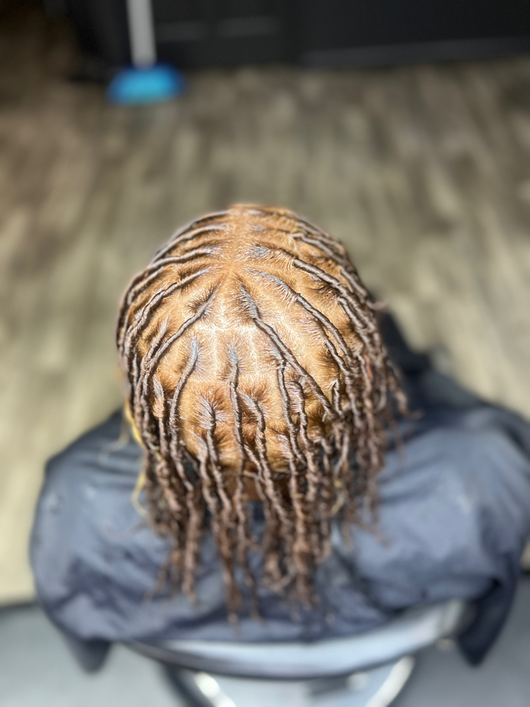 Starter Locs