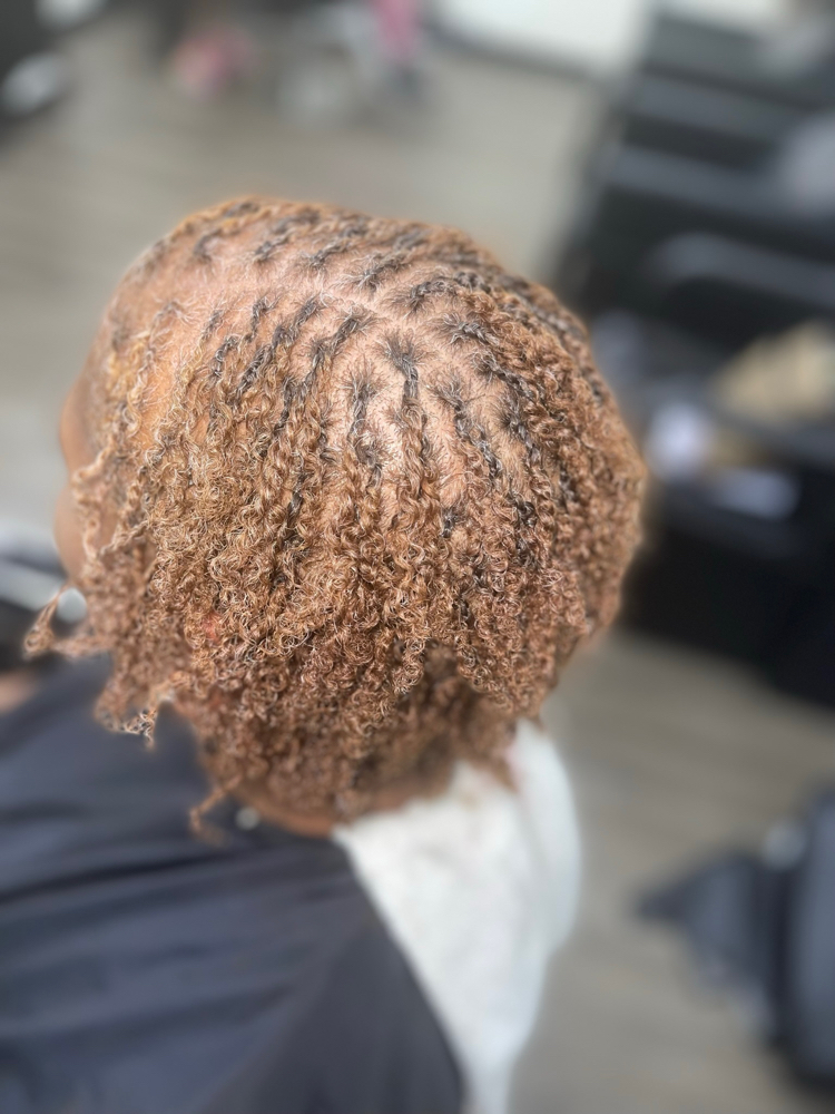 Small Starter Loc's