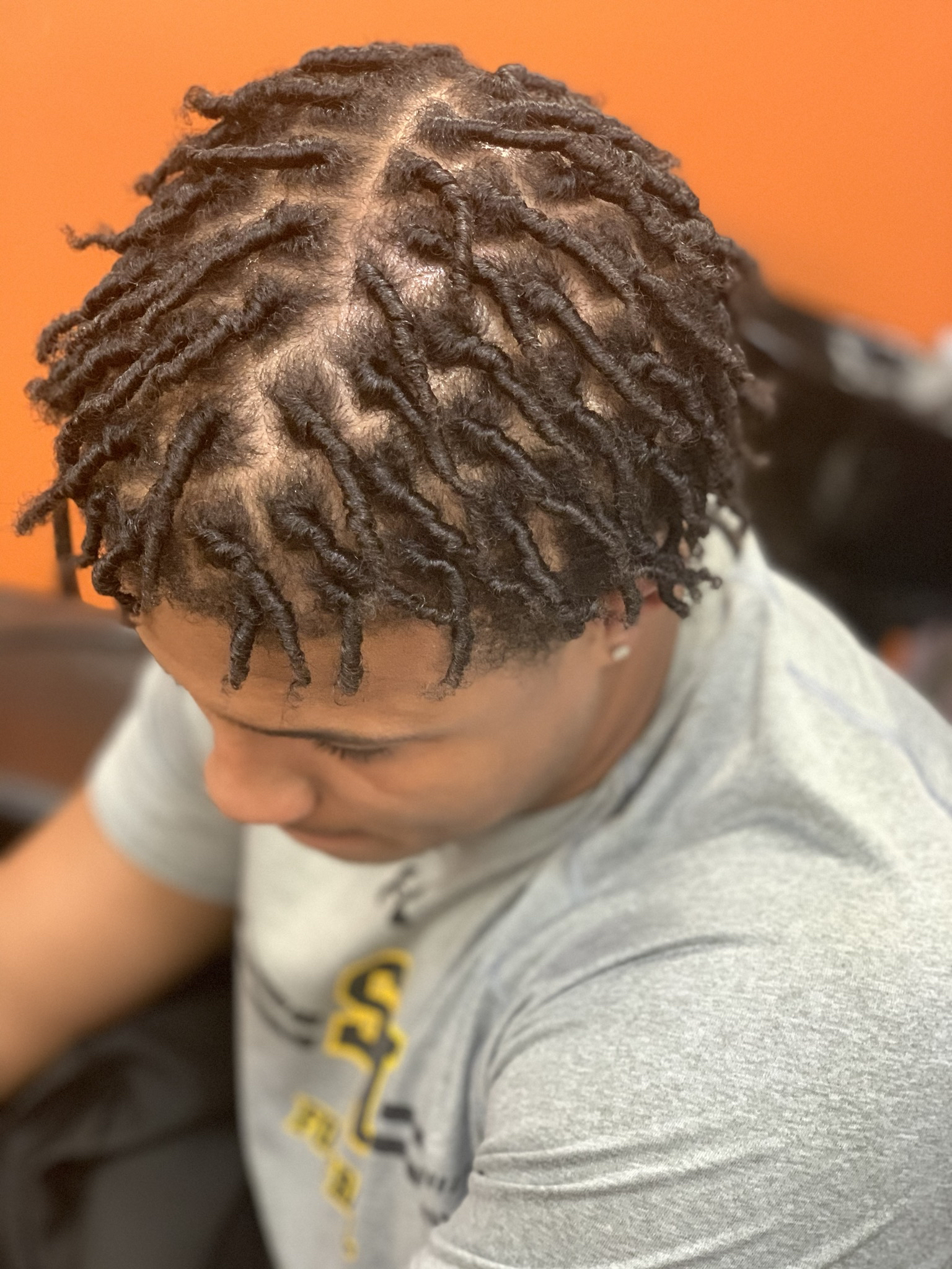 Starter Locs