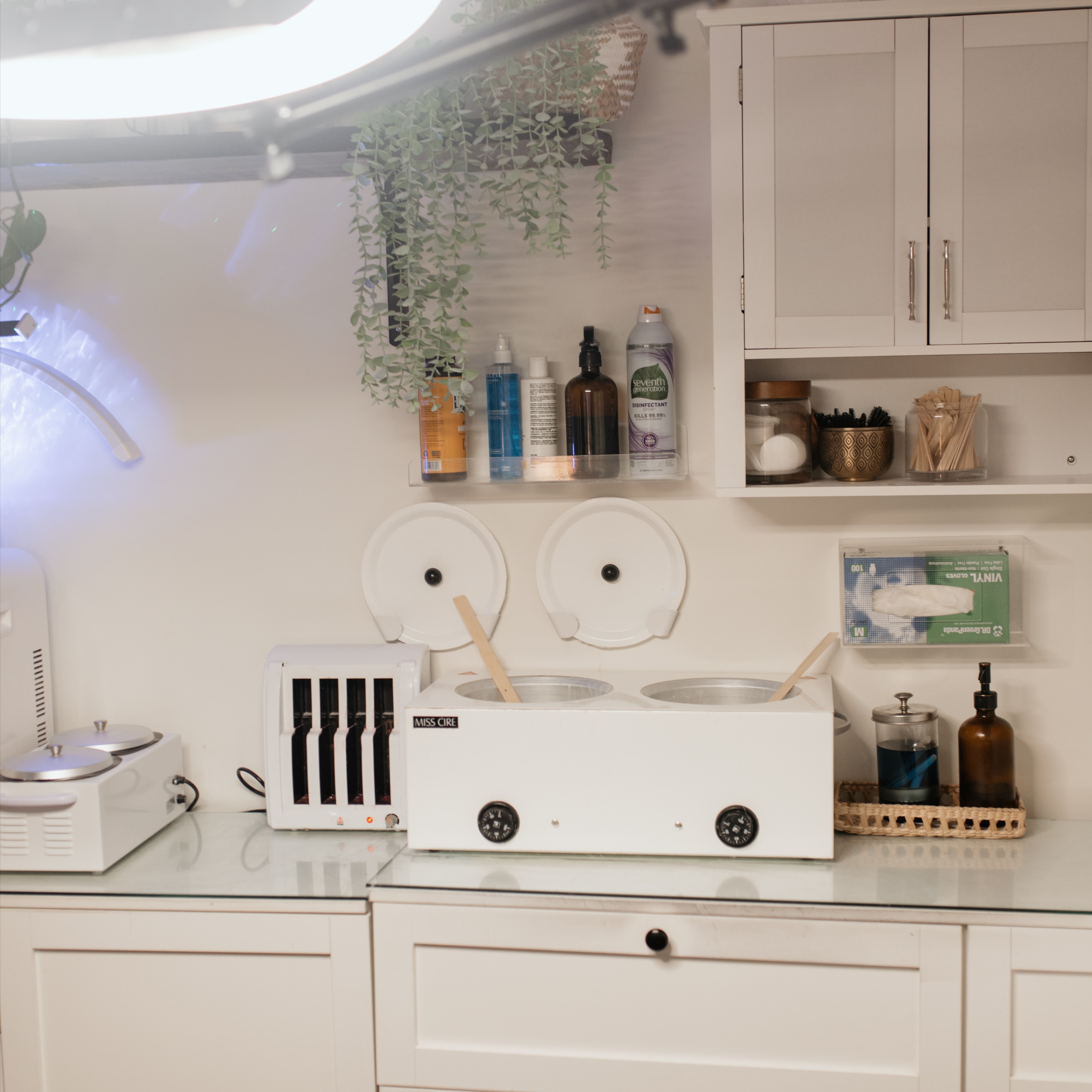 Returning Client Brazilian at House of Wax Tampa in Tampa, FL