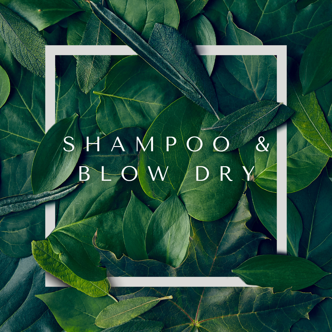 Shampoo And Blow Out