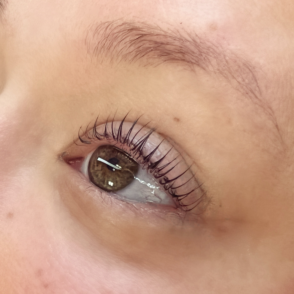 Lash Lift And Tint