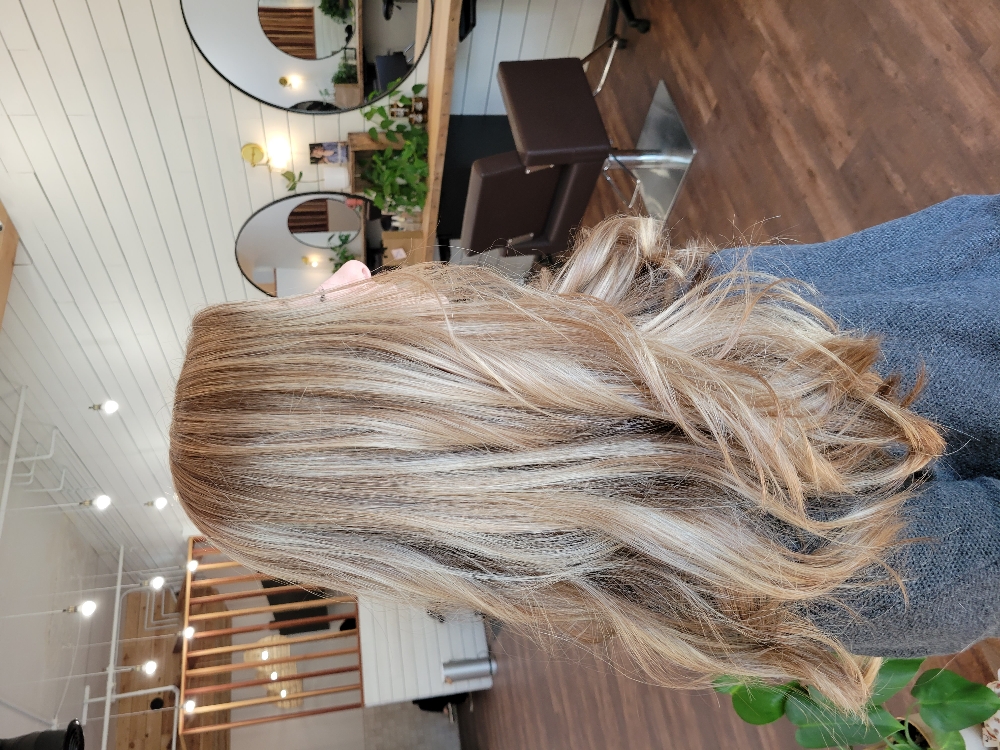 Haircut & Gloss/Toner Refresh