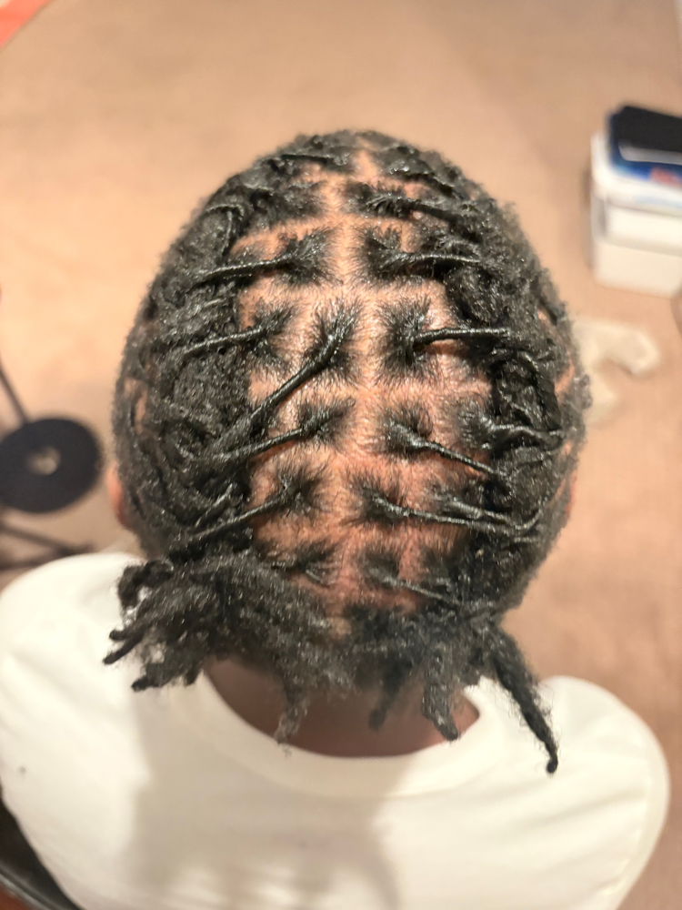 Loc Re-Retwist With Barrel Style at Ms. Ashley & Co. in Canton, MI