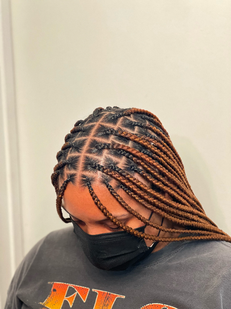 XS To Small MIDBACK (FULL)