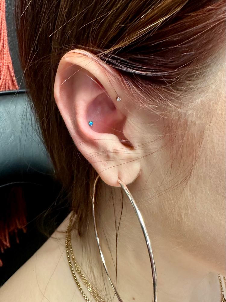 Conch Piercing