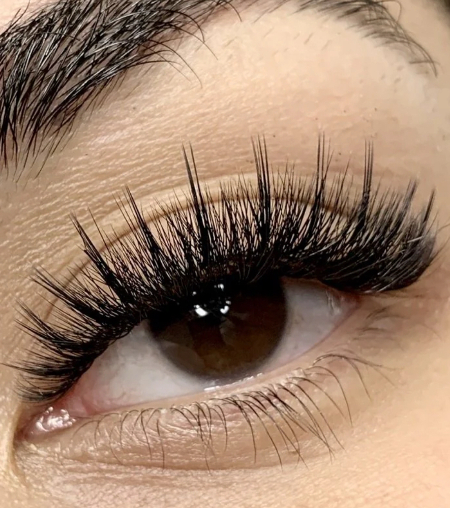 Hybrid Lashes