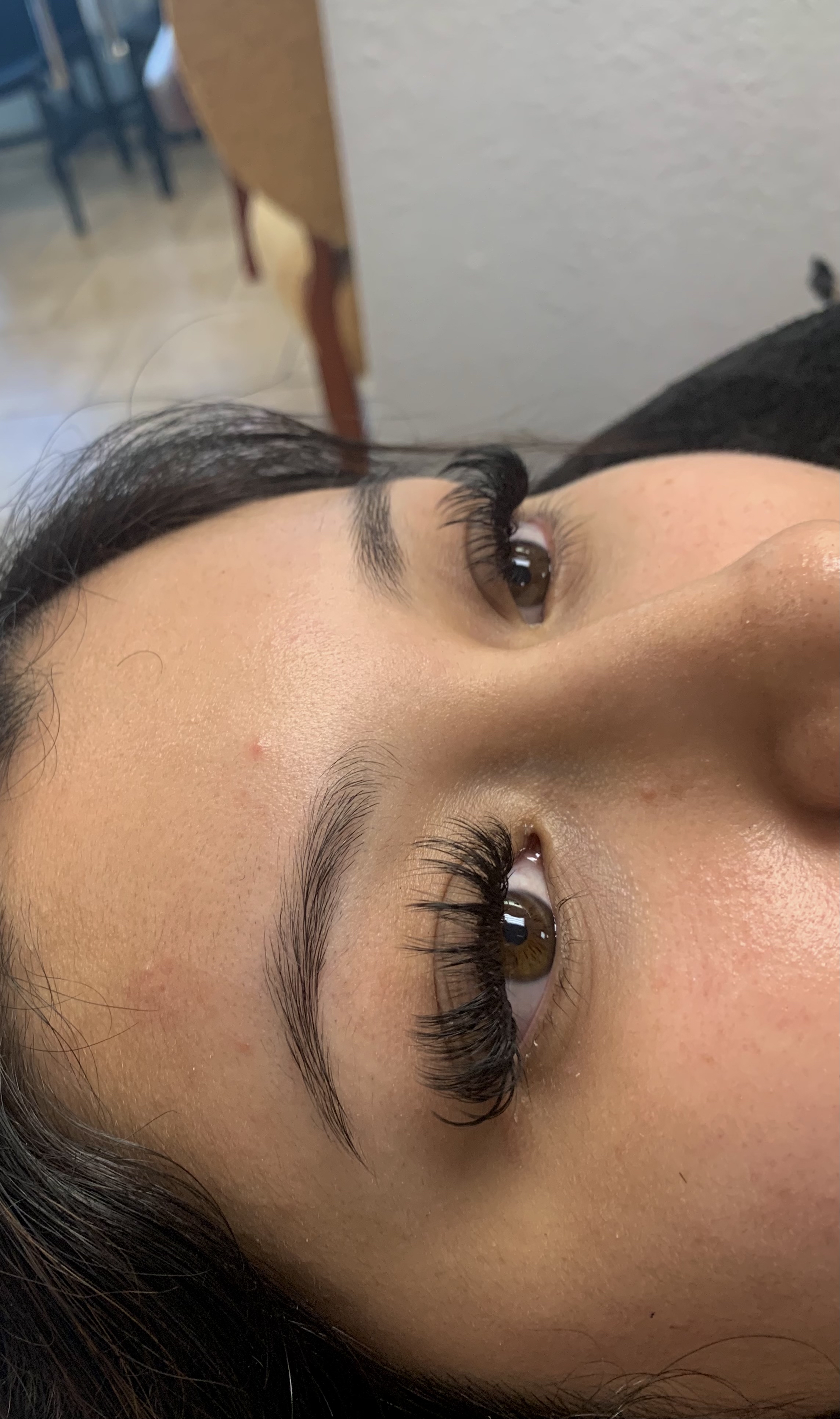 Lashstrip Lash Extensions