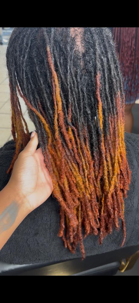 Color Tips at Queen Of Diamond Locs in Detroit, MI