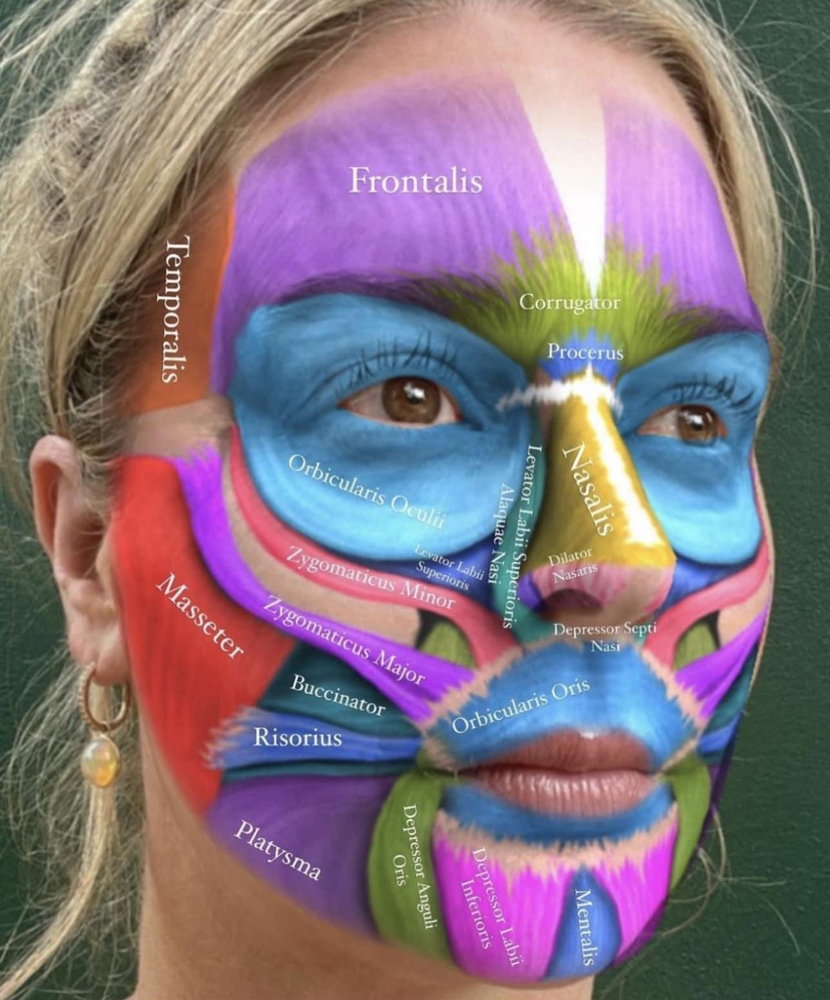 Masseters site Botox Injection