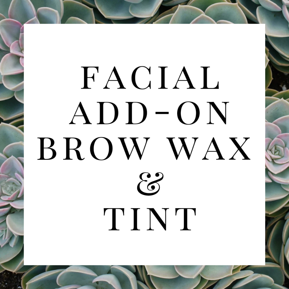 Facial Add On Brow Wax & Tint