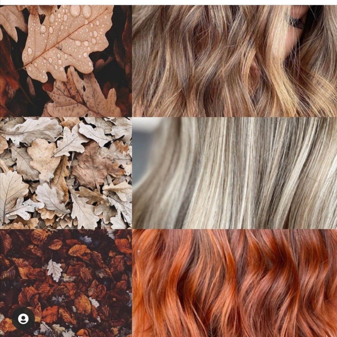 Dimensional Foil Color Basic Accent at Salon One Thirty One-Salon Three Twenty One in Dallas & Hiram, GA