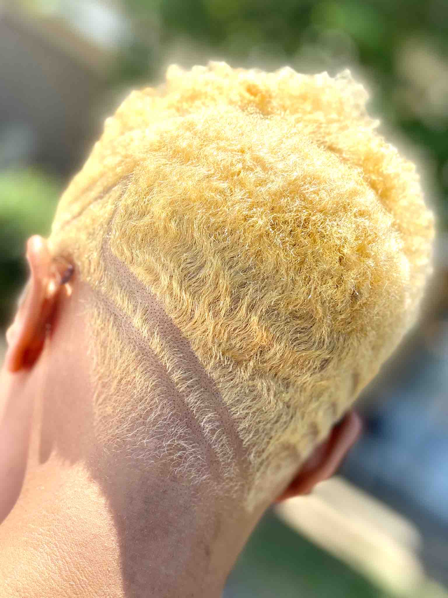 Cut & Color’D
