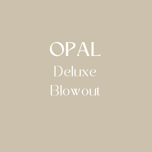 OPAL Deluxe Blowout