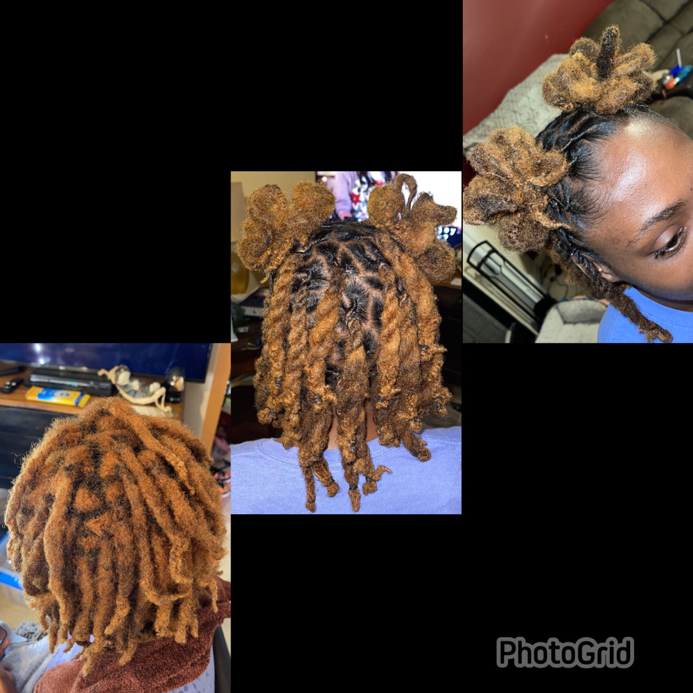 Retwist & Style (shoulder length)