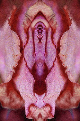 Aura Detox & Cleanse Steam at SheRiseWellness in Hampton, VA