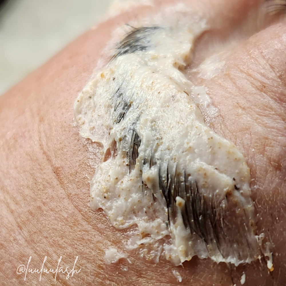 BROW REFRESH | WAX + TINT